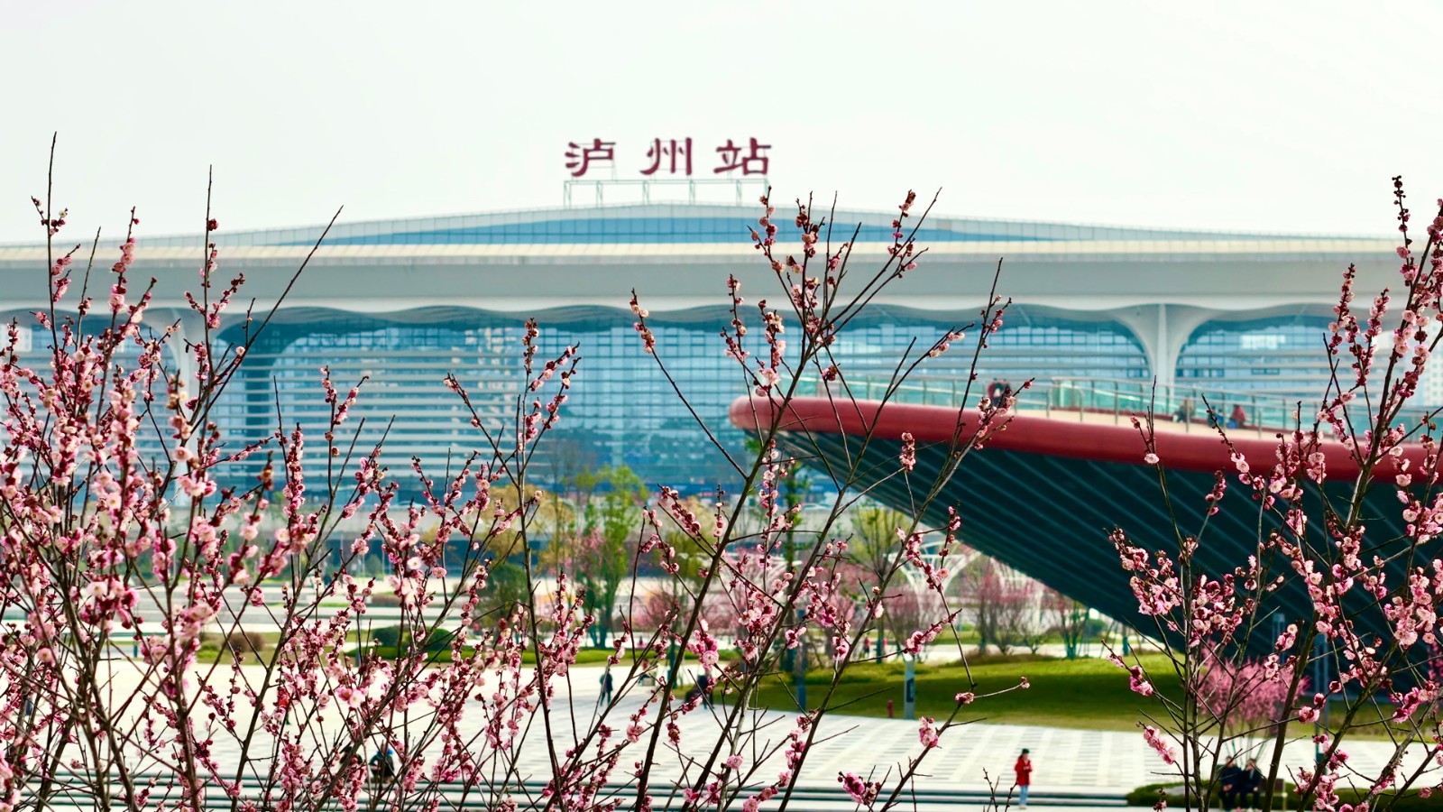 九狮路及高铁站前广场项目 泸州园林